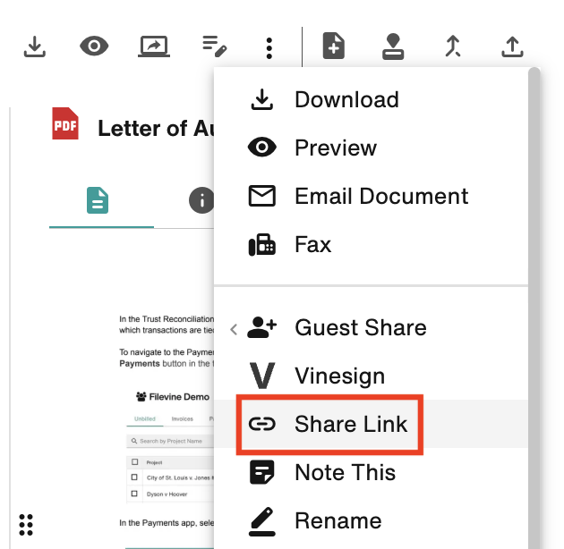 Vertical ellipsis menu: Share Link