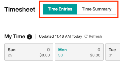 Time Entries and Time Summary
