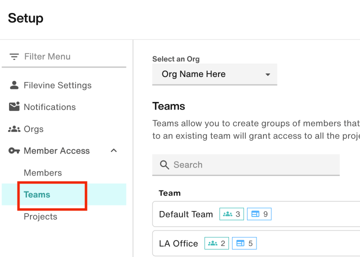 Teams subsection of Member Access