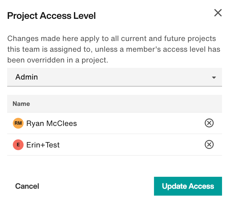 Project Access Level flyout