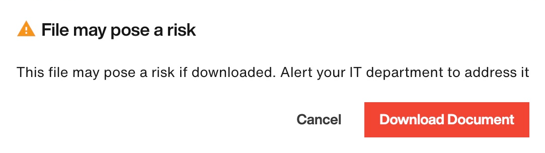 Warning modal: File may pose a risk
